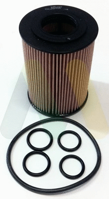 Oil Filter (LVFL743)
