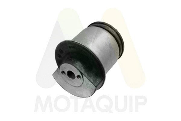 Bushing, axle beam (LVSK1005)