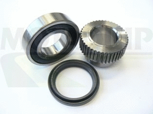 Wheel Bearing Kit (VBK1335)