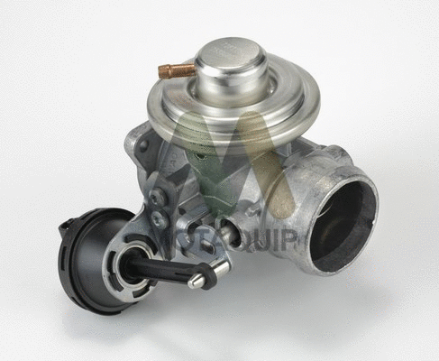 EGR Valve (LVER168)