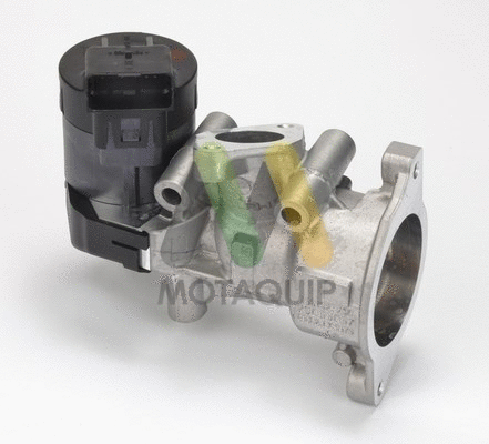 EGR Valve
