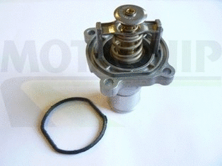 Thermostat, coolant