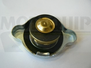 Cap, coolant tank (VCR251)