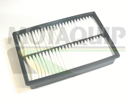 Air Filter (VFA1131)