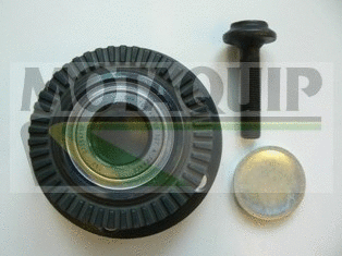 Wheel Bearing Kit (VBK1239)