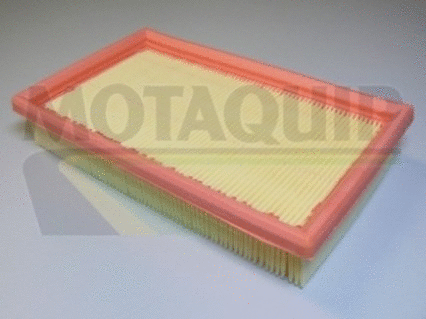 Air Filter (VFA664)