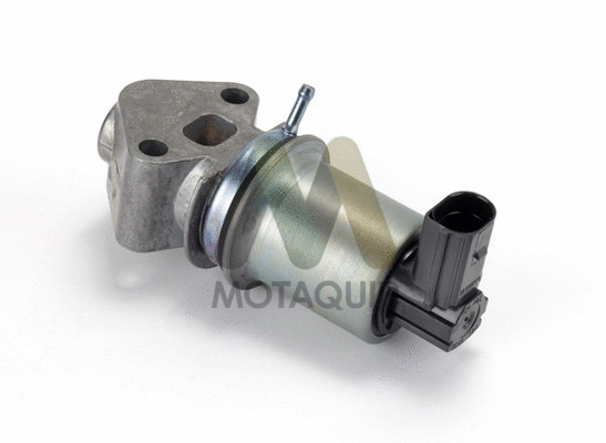 EGR Valve (LVER284)