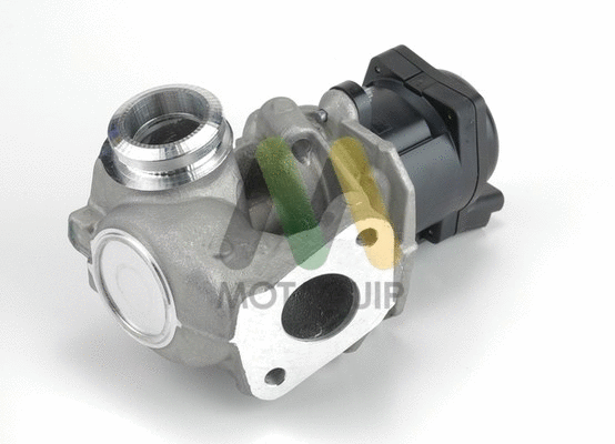 EGR Valve (LVER102)