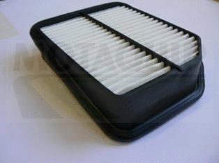Air Filter (VFA1185)