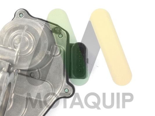 EGR Valve