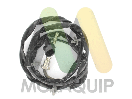 Sensor, exhaust gas temperature (LVET318)