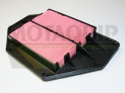 Air Filter (VFA1021)
