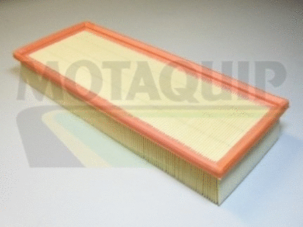 Air Filter (VFA657)