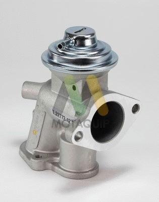 EGR Valve (LVER342)