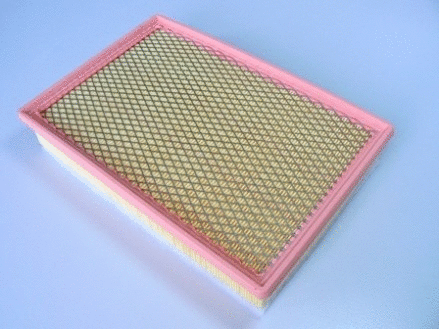 Air Filter (VFA835)