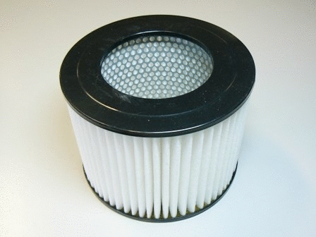 Air Filter (VFA548)