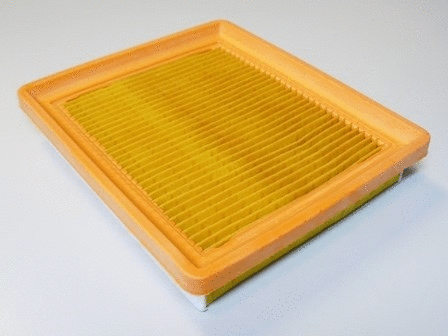 Air Filter (VFA1098)