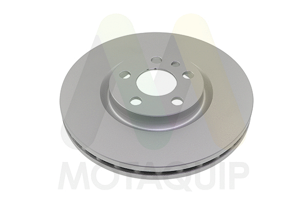 Brake Disc (LVBE363)