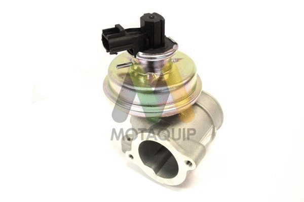 EGR Valve (LVER163)