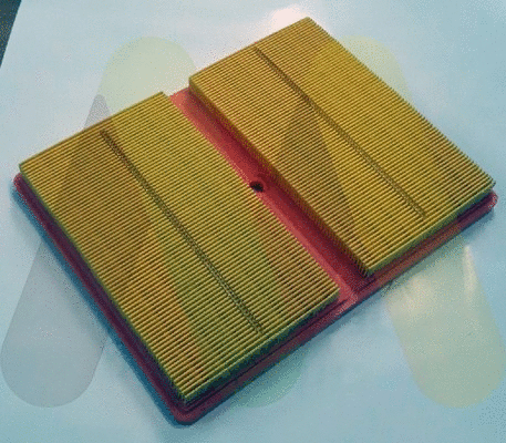 Air Filter (LVFA1580)