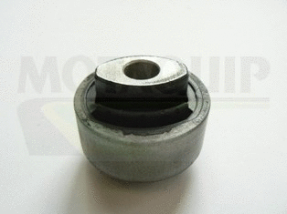 Mounting, control/trailing arm (VSK671)