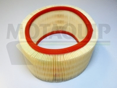 Air Filter (VFA706)