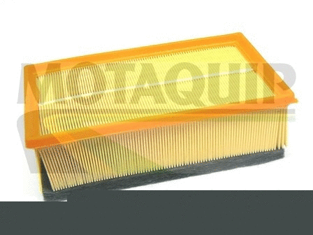 Air Filter (VFA1163)