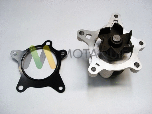Water Pump, engine cooling
