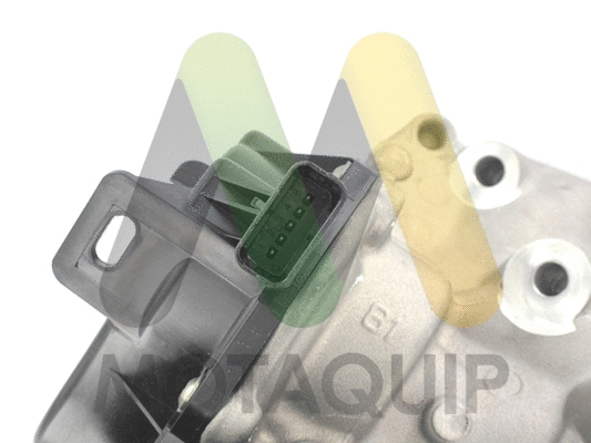 EGR Valve