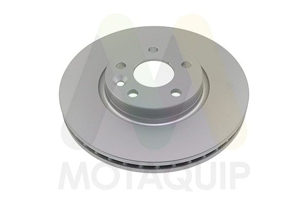 Brake Disc (LVBD1241Z)