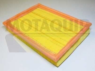 Air Filter (VFA564)