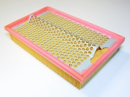 Air Filter (VFA968)