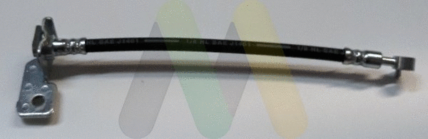 Brake Hose (LVBH1755)