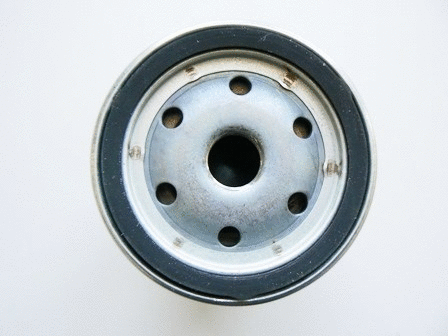Fuel Filter (VFF339)