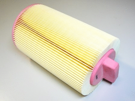 Air Filter (VFA1087)