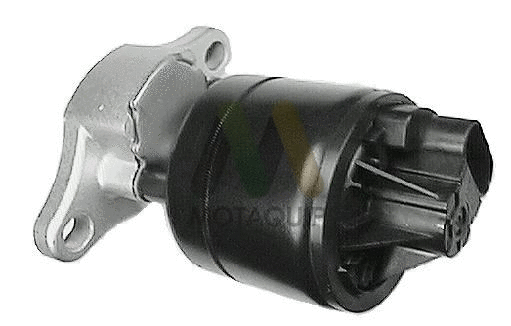 EGR Valve (LVER124)
