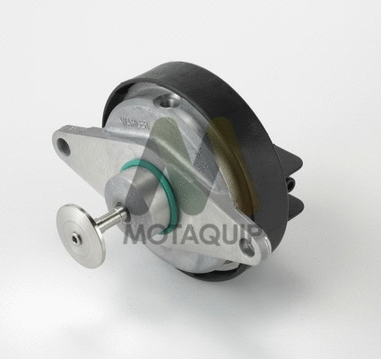 EGR Valve (LVER209)