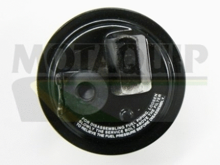 Fuel Filter (VFF301)