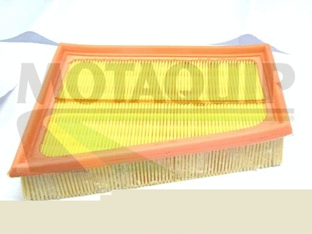 Air Filter (VFA1194)