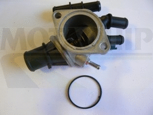 Thermostat, coolant