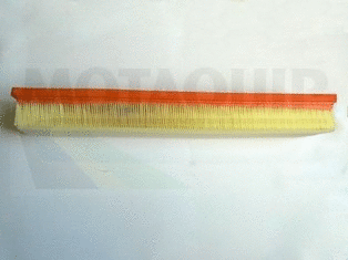 Air Filter (VFA1201)