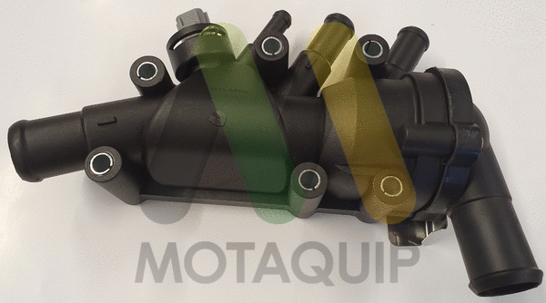 Thermostat, coolant