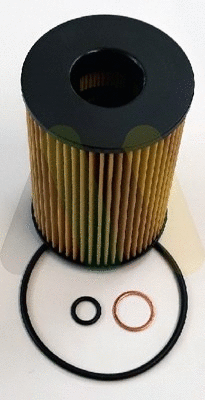 Oil Filter (LVFL805)