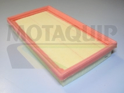 Air Filter (VFA1039)