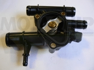 Thermostat, coolant
