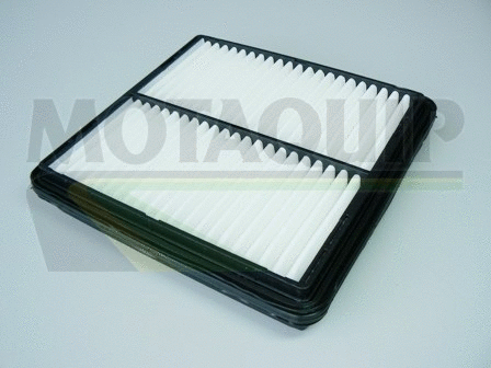 Air Filter (VFA915)