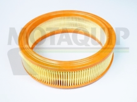Air Filter (VFA200)