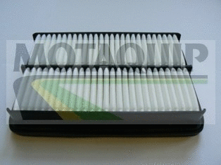 Air Filter (VFA1172)
