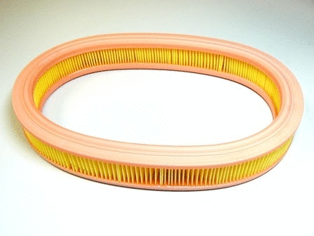 Air Filter (VFA477)