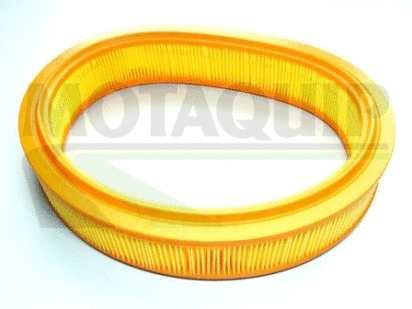 Air Filter (VFA1048)